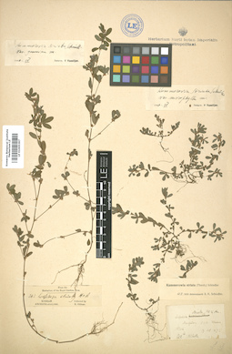LE 01005397