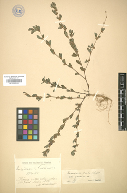 LE 01005399