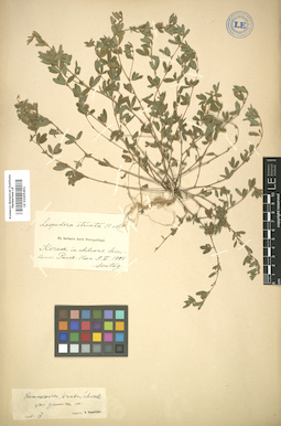 LE 01005401