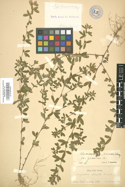 LE 01005403