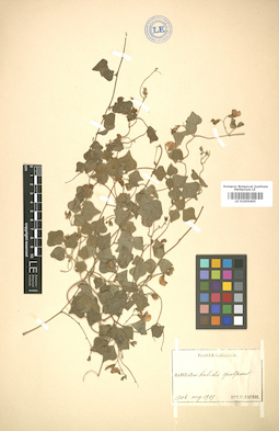LE 01005405