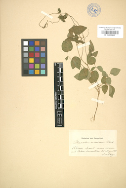 LE 01005410