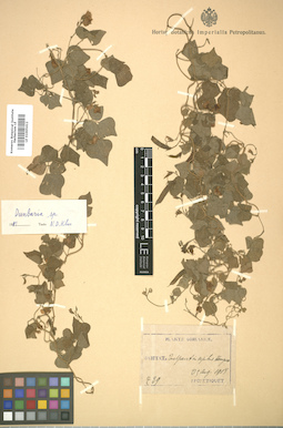 LE 01005412