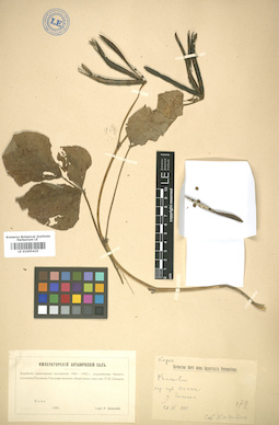 LE 01005425