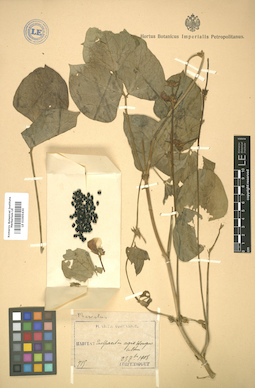 LE 01005430