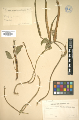 LE 01005432