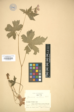 LE 01005439