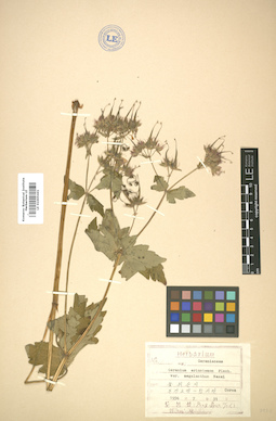 LE 01005441