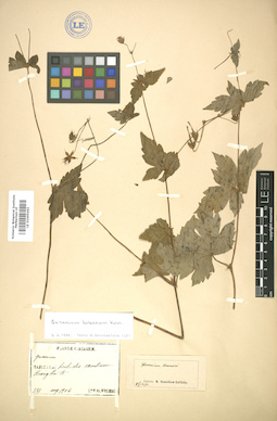 LE 01005442