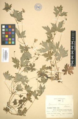 LE 01005460