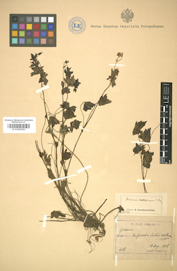 LE 01005461