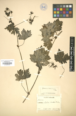 LE 01005463