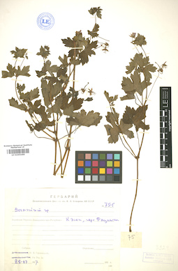 LE 01005469