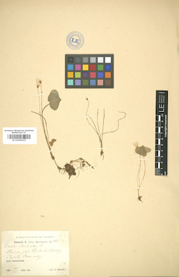 LE 01005472