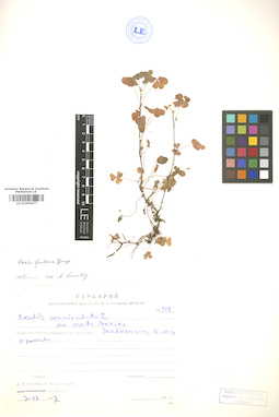 LE 01005477