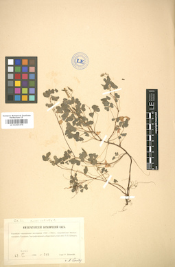 LE 01005478
