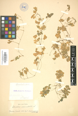 LE 01005479
