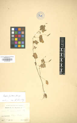 LE 01005480