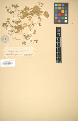 LE 01005483