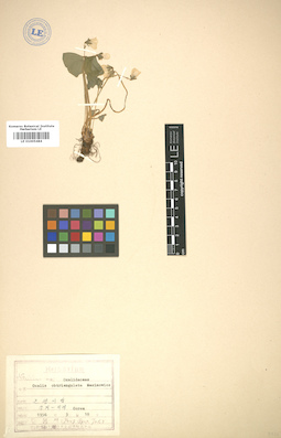 LE 01005484