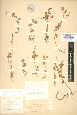 LE 01005488