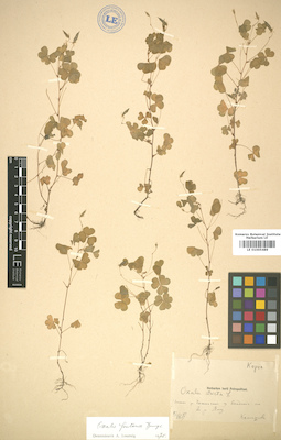 LE 01005489