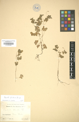 LE 01005490