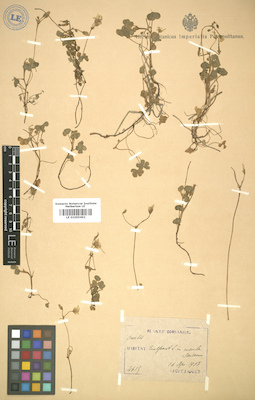 LE 01005492