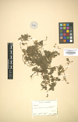 LE 01005493