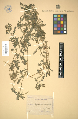 LE 01005496