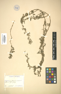 LE 01005498