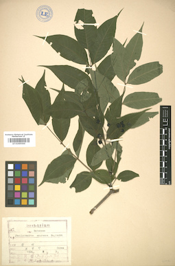 LE 01005500