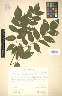 LE 01005510