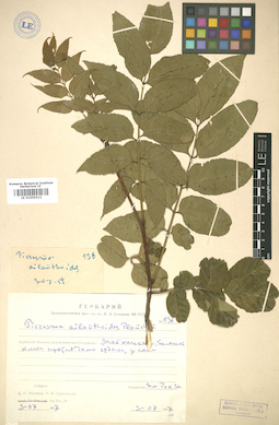 LE 01005512