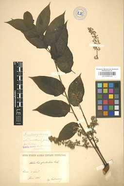 LE 01005514