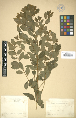 LE 01005540