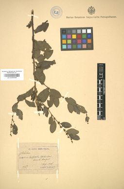 LE 01005548