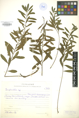 LE 01005572