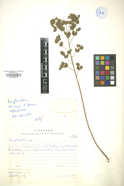 LE 01005573