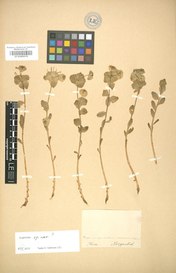 LE 01005574