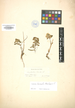 LE 01005576