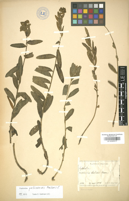 LE 01005577