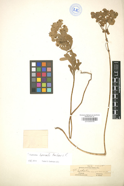 LE 01005578