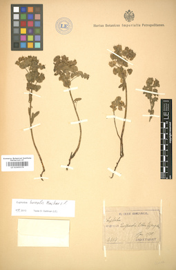 LE 01005579