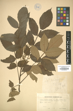 LE 01005592