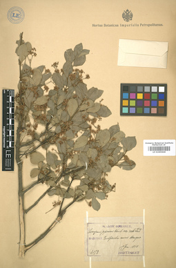 LE 01005640