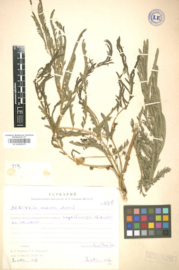 LE 01005673