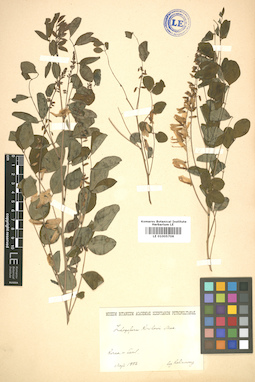 LE 01005706