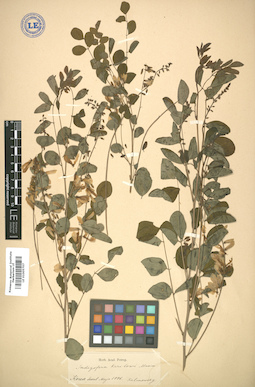 LE 01005707