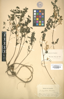 LE 01005708